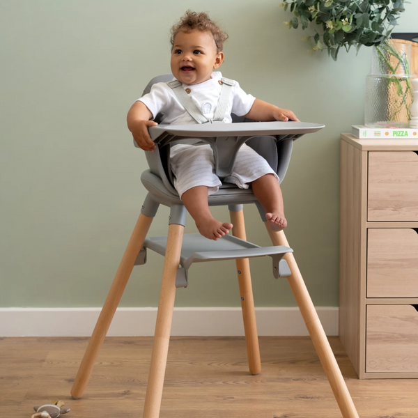 Claire De Lune 6in1 High Chair - Grey