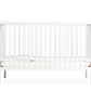 moKee Mini Cot Bed - White Beech